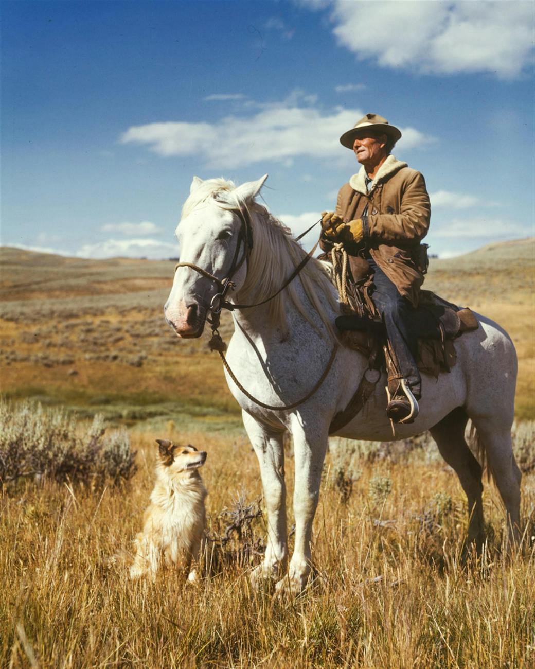 Cowboy’s Second Act: How a Beloved E-Bike Brand Dodged Disaster and Rode Towards Redemption