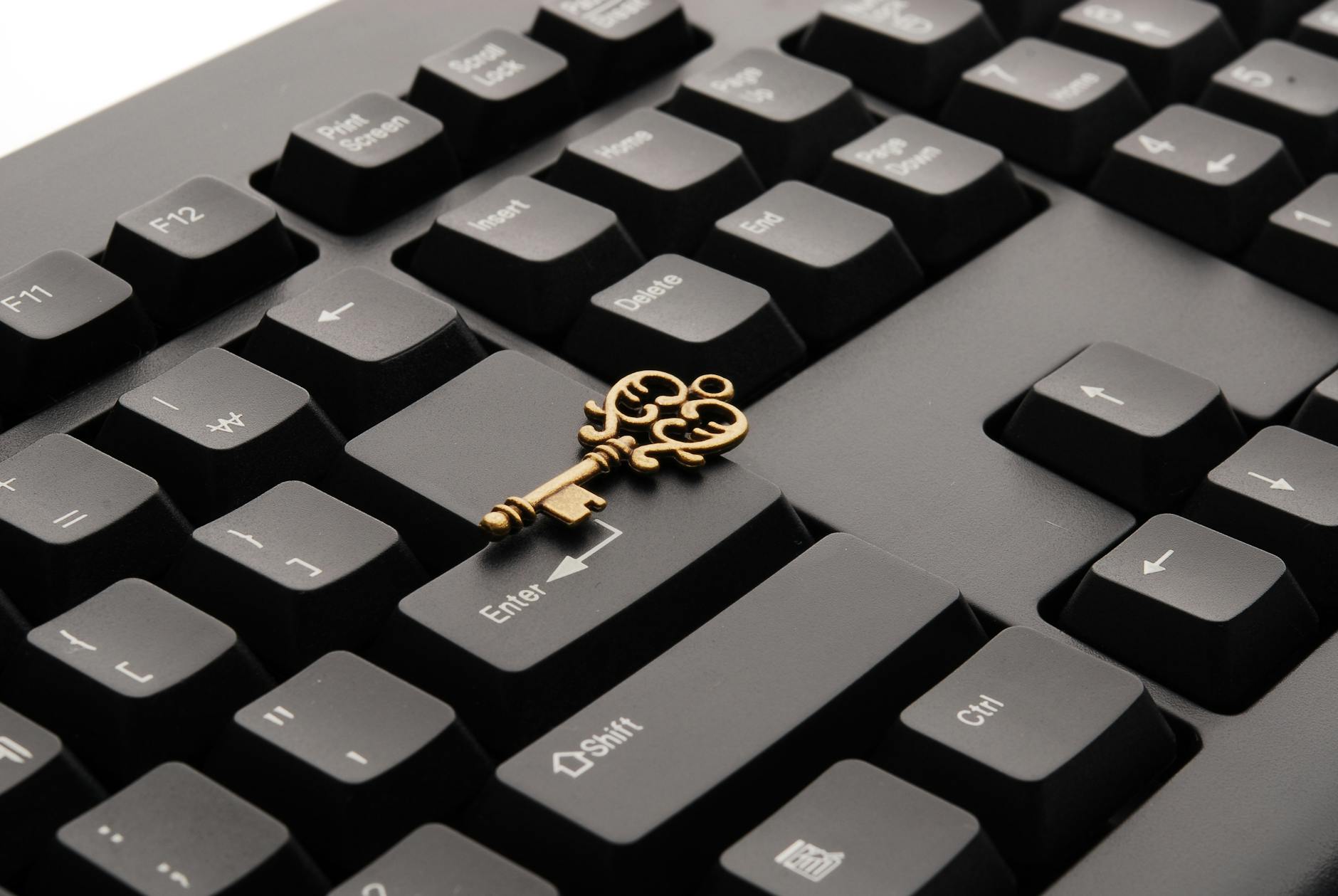 Unlock Your Data’s Potential: Tailored R and Shiny Training for Real-World Impact