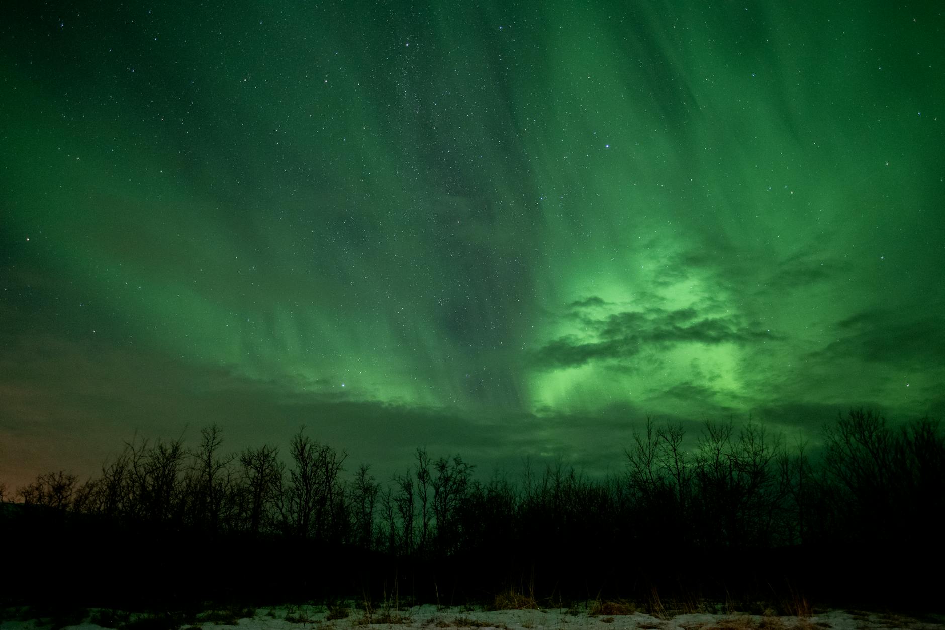 Celestial Spectacle on the Horizon: Northern Lights Expected to Grace Skies Across 14 States This August