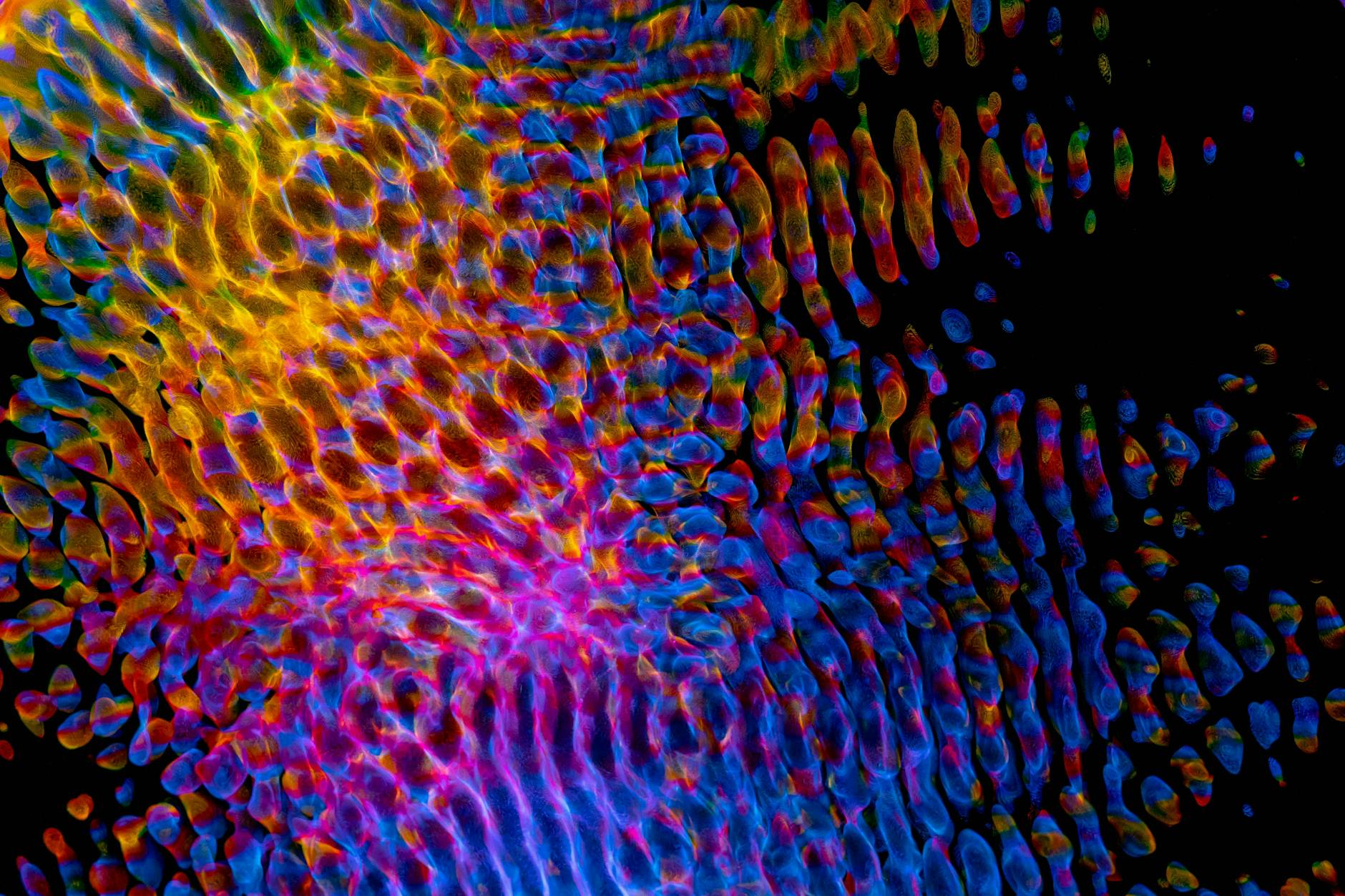 The Spectrum of Engagement: How Color Shapes Our Digital Lives
