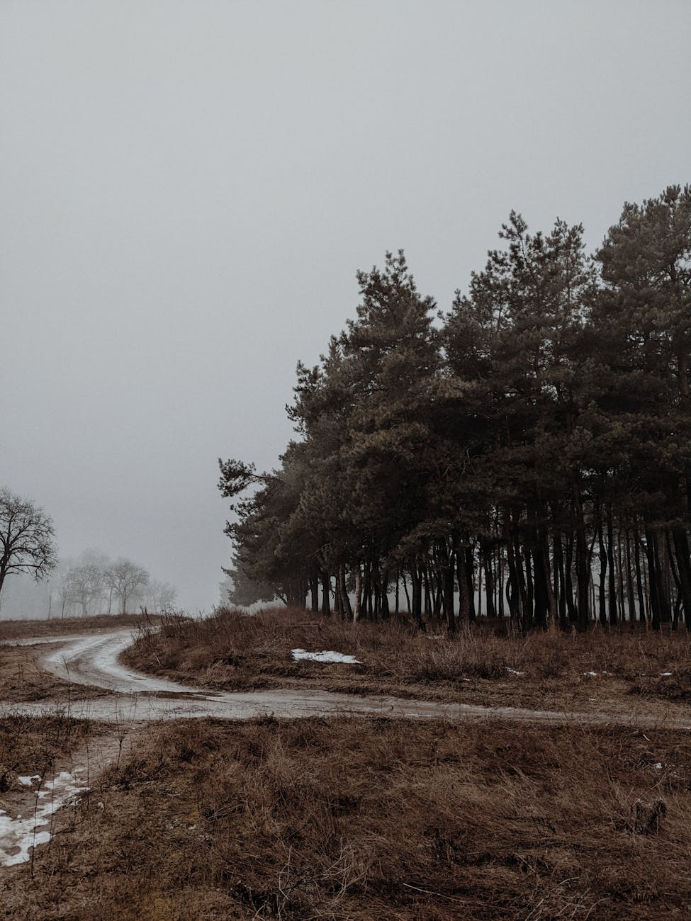 The Unseen Cost: Ukraine’s Enduring Conflict Amidst Shifting Geopolitical Sands