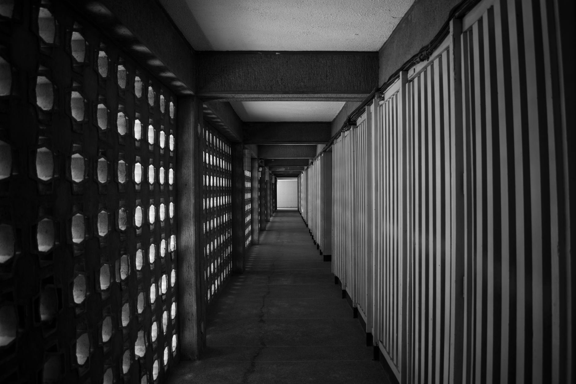 The Shadow Economy: Inside the Multimillion-Dollar Gray Market Thriving on Your Desire to Win