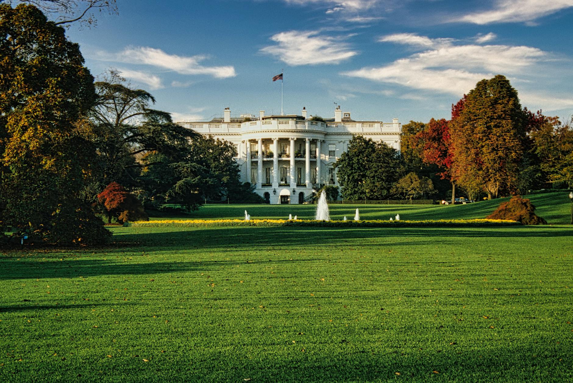 Unpacking the Actions of Federal Agents in D.C.: Beyond the Headlines