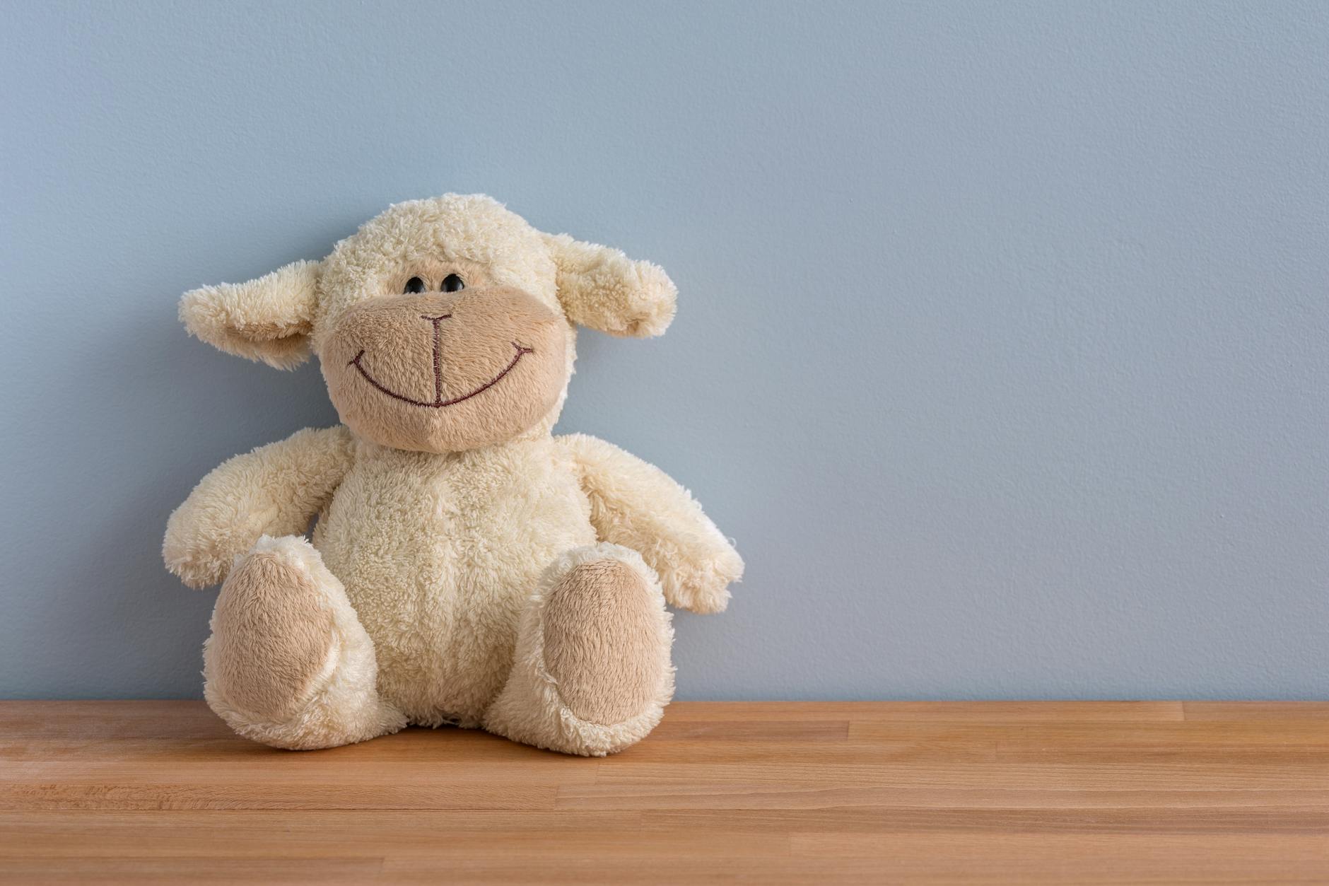 Cosmic Companions: A Plush Toy’s Journey to the Moon with Artemis 2