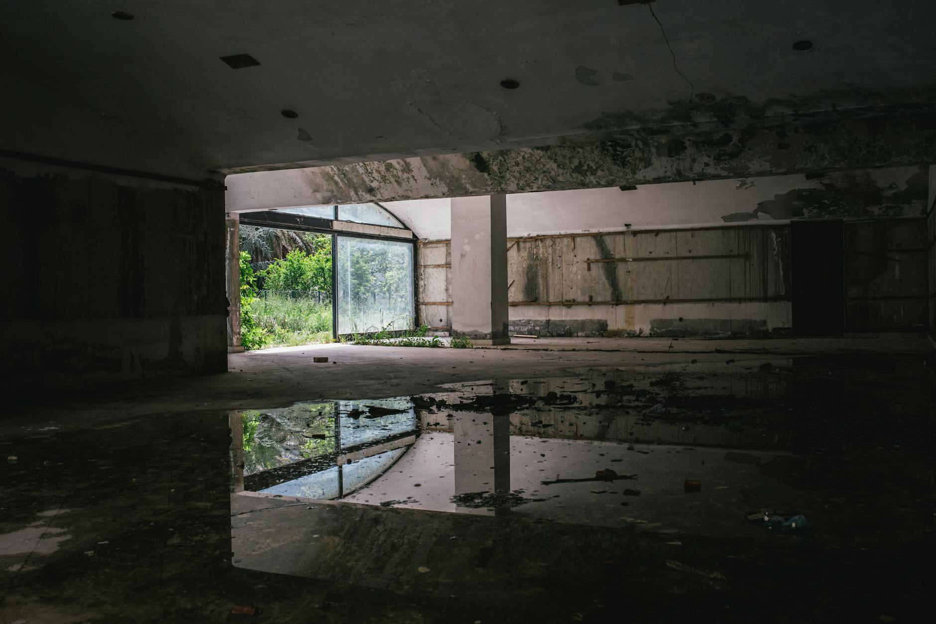 The Shadow of the Ozarks: Inside a Former Chief’s Elaborate Prison Escape Plot