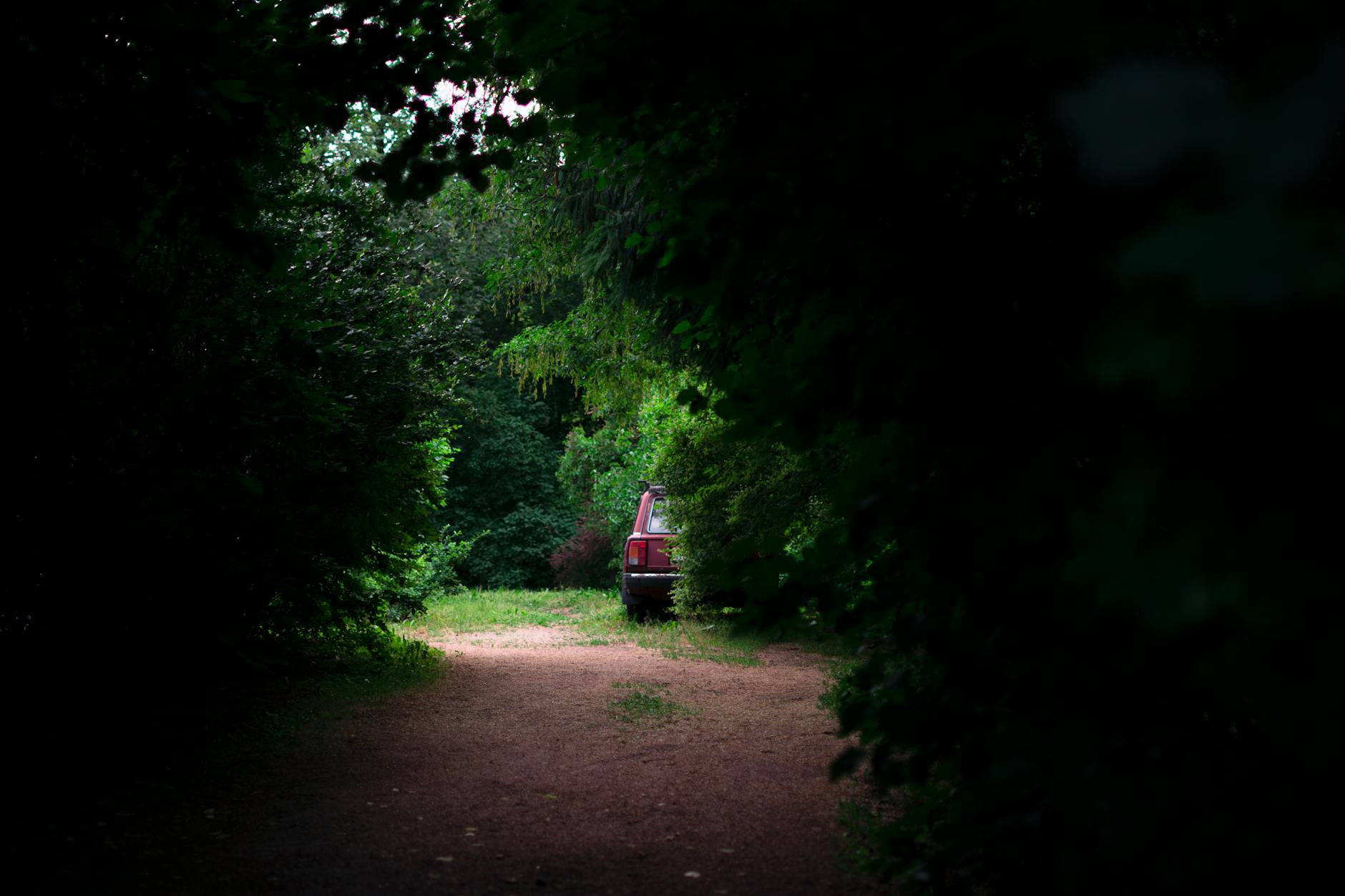 The Unseen Race: Navigating the AI Revolution Before It Outpaces Us