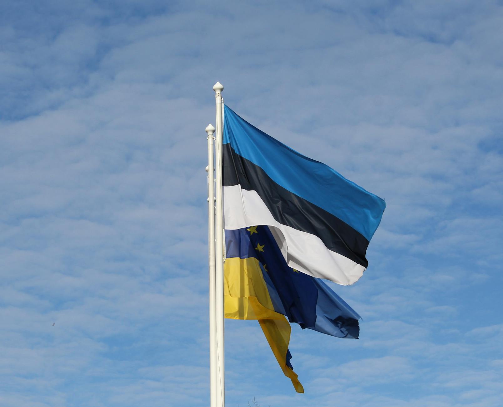 Diplomacy on the Brink: Navigating the Complexities of Ukraine’s Future and Global Relations