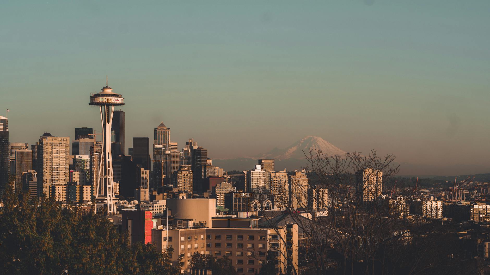 Seattle’s Tech Titan: How TEAL’s Explosive Growth is Redefining Software Innovation