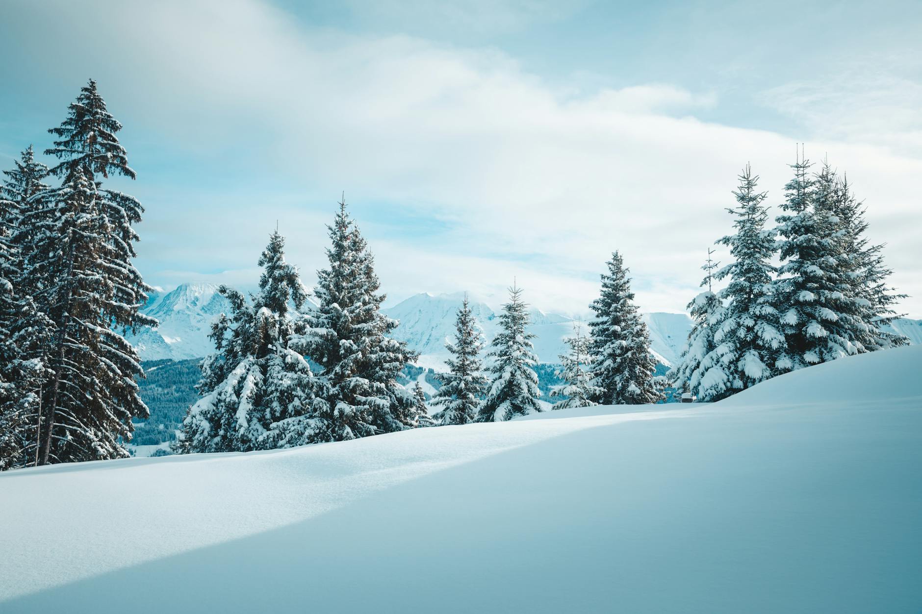 Beyond the Horizon: How a New Arctic Eye is Revolutionizing Global Weather Prediction