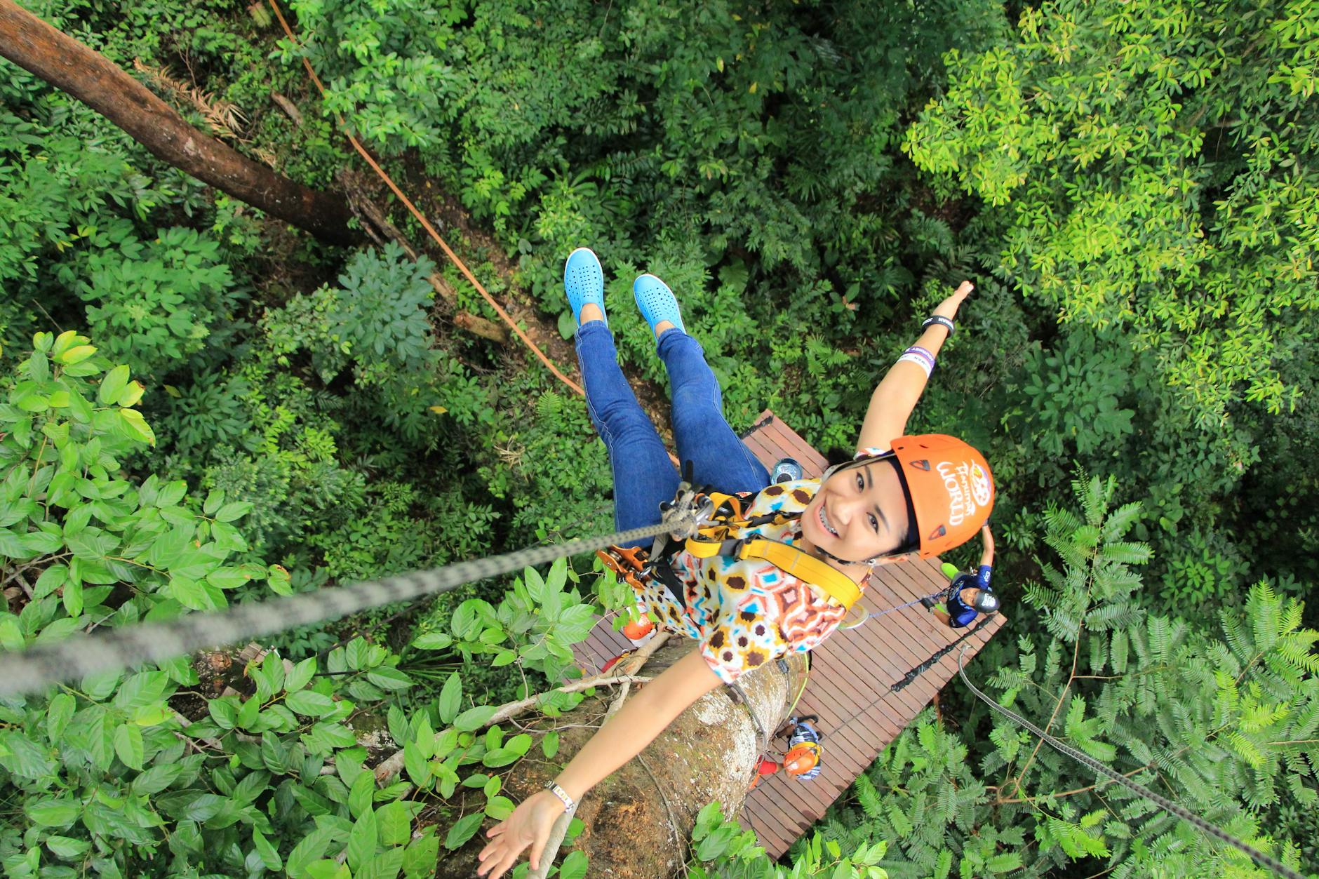 Harnessing the Canopy: GEDI’s Glimpse into Earth’s Forests Shapes Future Conservation Efforts