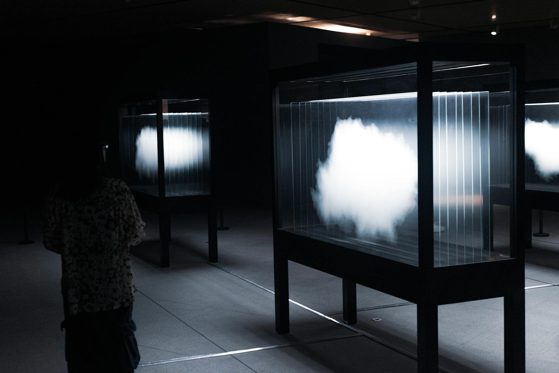 A Glimpse Inside: The First Visual Record of Human Embryo Implantation