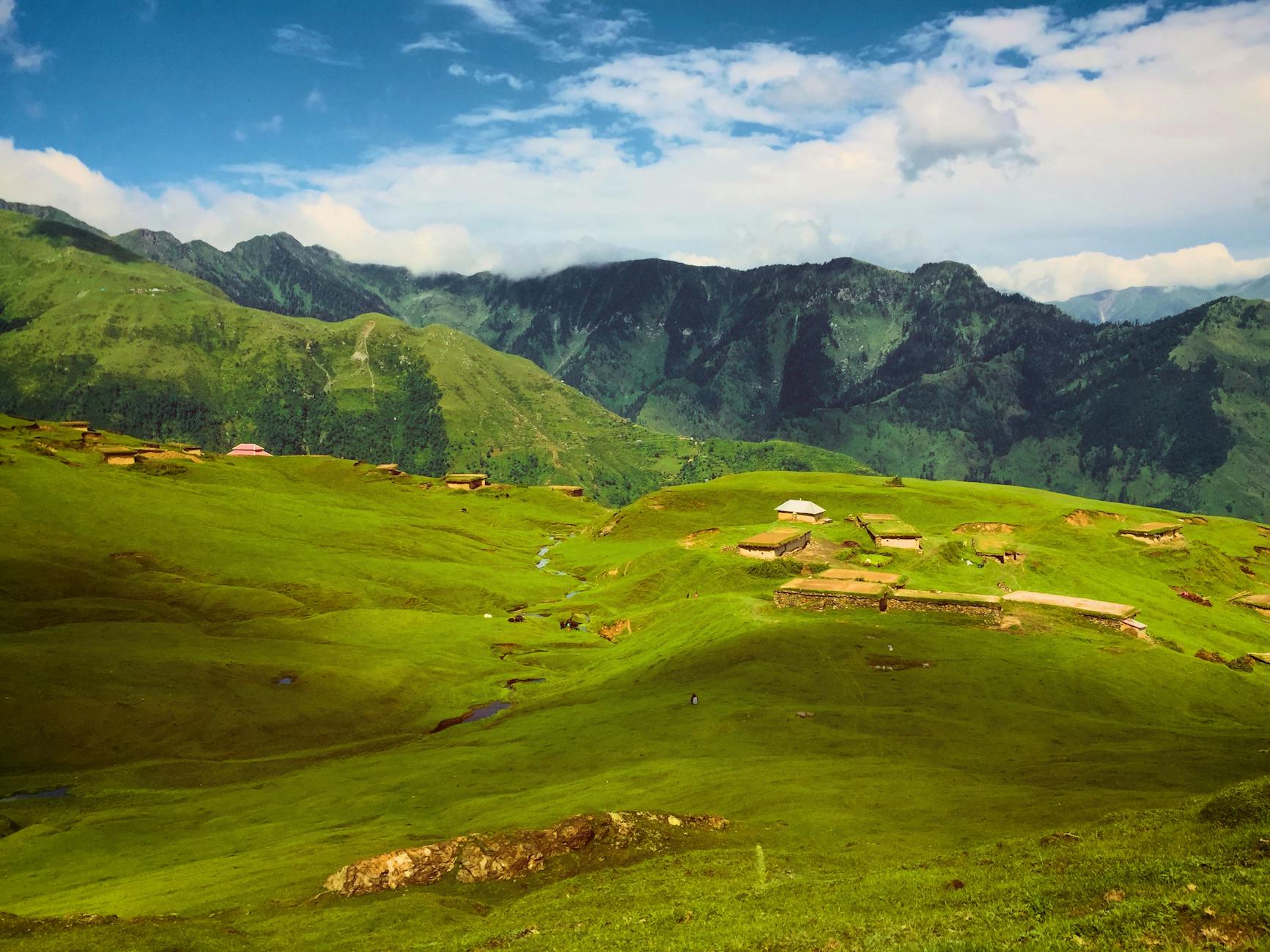 Kashmir’s Silent Libraries: How a Book Ban Silences Dissent and Shapes Narratives