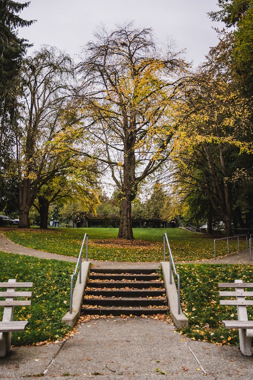 A Strategic Shift: Washington’s Bitcoin Enigma Unfolds