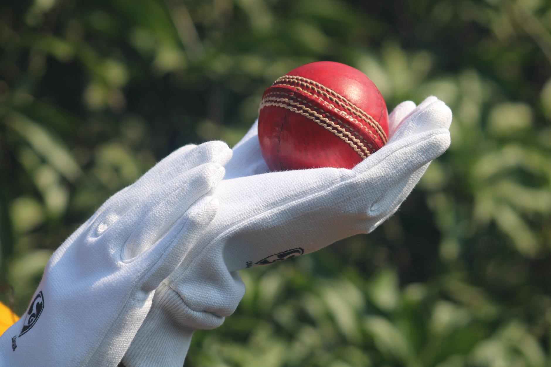 India-Pakistan Cricket: Navigating the Complexities of Sport and Politics