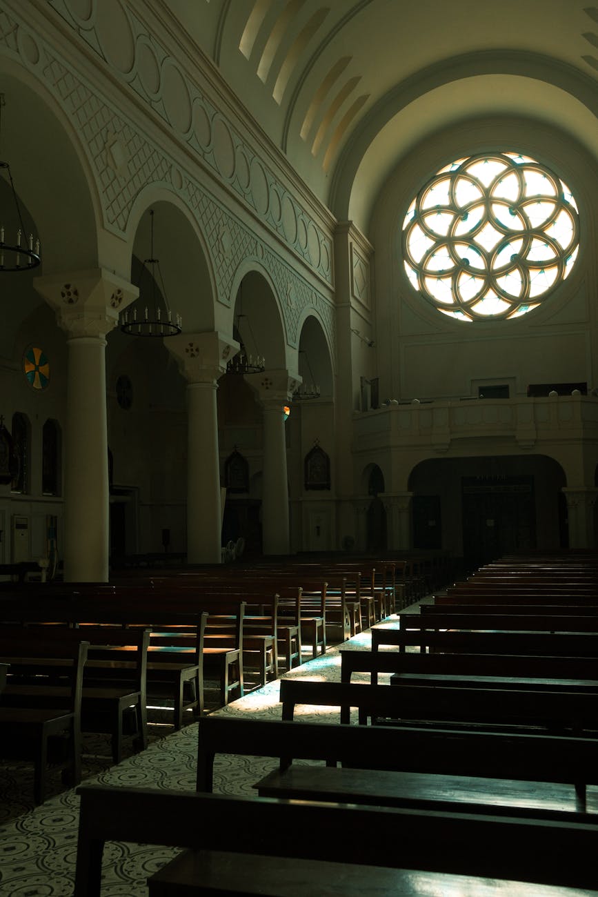 The Echoes of ‘Weapons’: Unpacking the Enigma of a Cinematic Anomaly