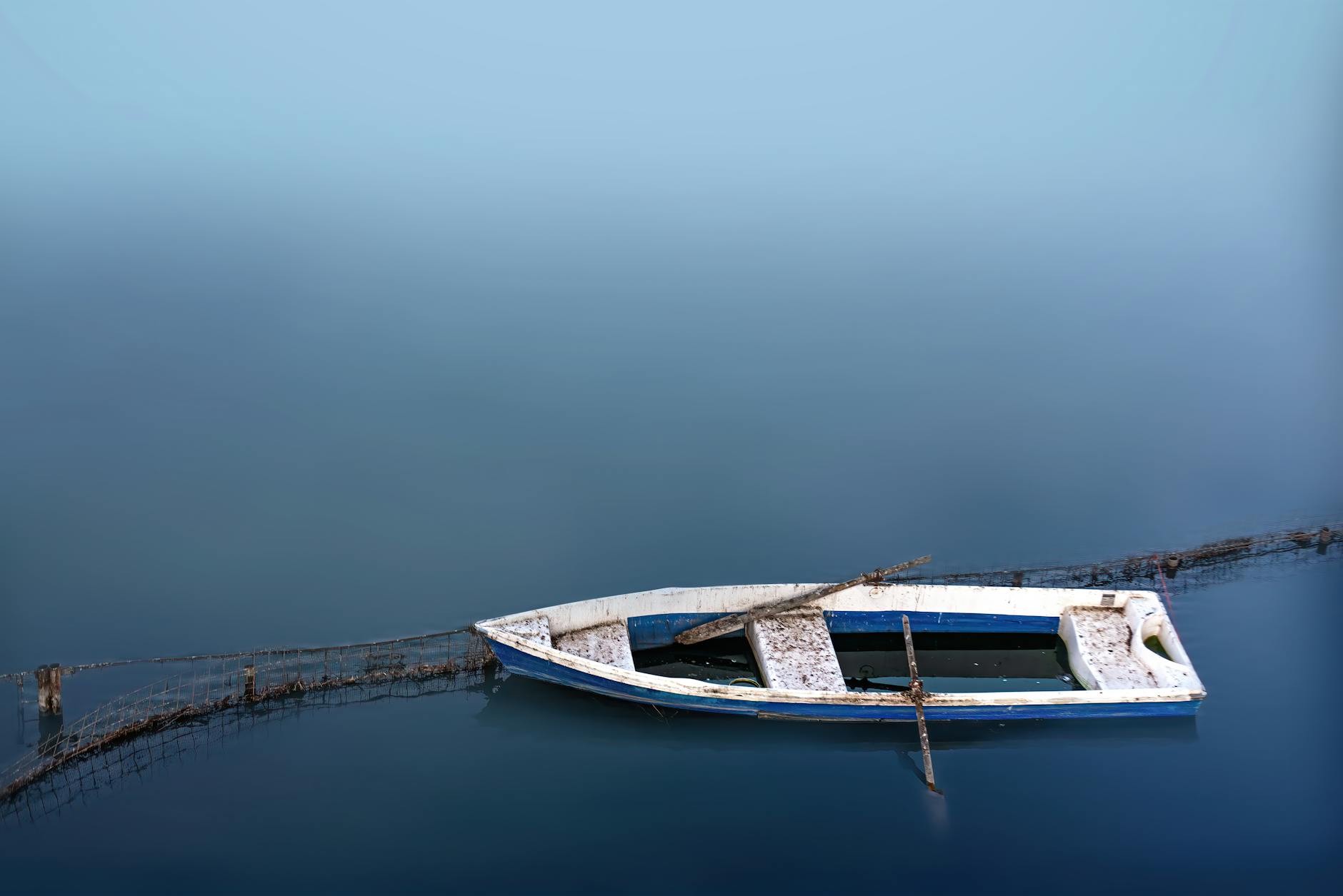 The Silent Symphony: Unlocking the Ocean’s Hidden Conversations