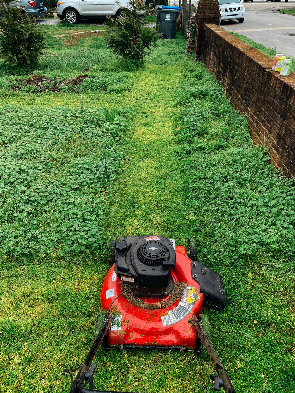 DIY Revolutionizes Lawn Care: OpenMower Puts Autonomous Mowing in Everyone’s Hands