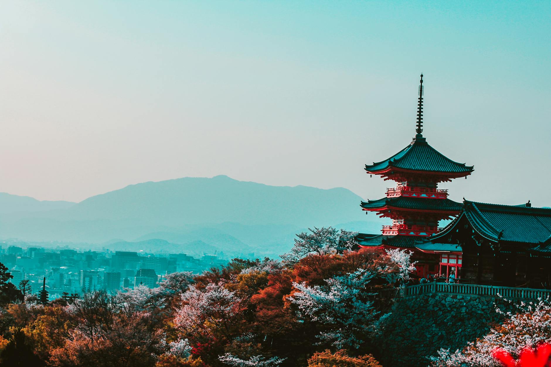 Kyoto’s Ancient Soul Meets Montreal’s Modern Pulse: A Tale of Two Cities