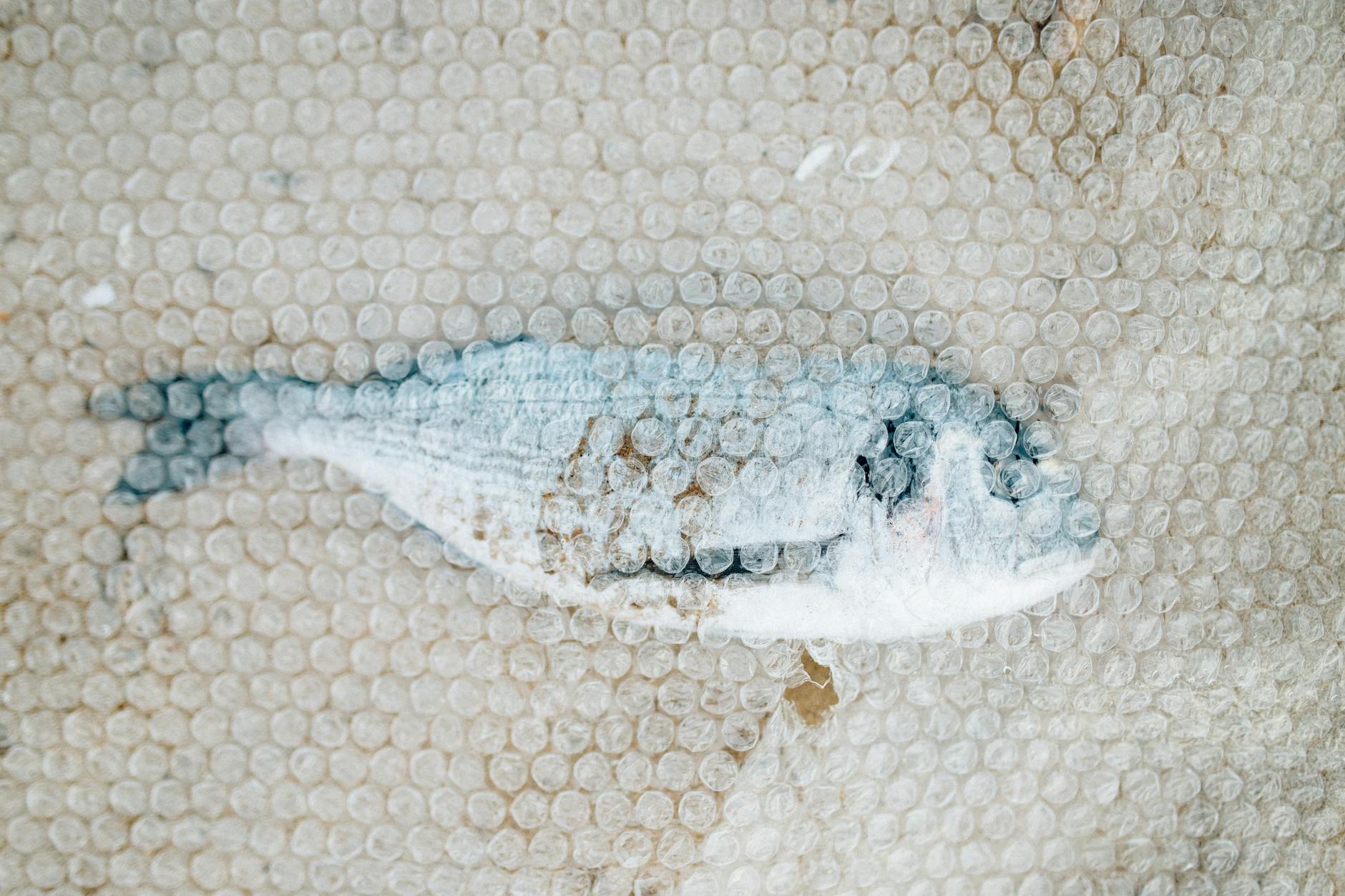 FDA Investigates Potential Radioactive Contamination in Frozen Shrimp Sold at Walmart