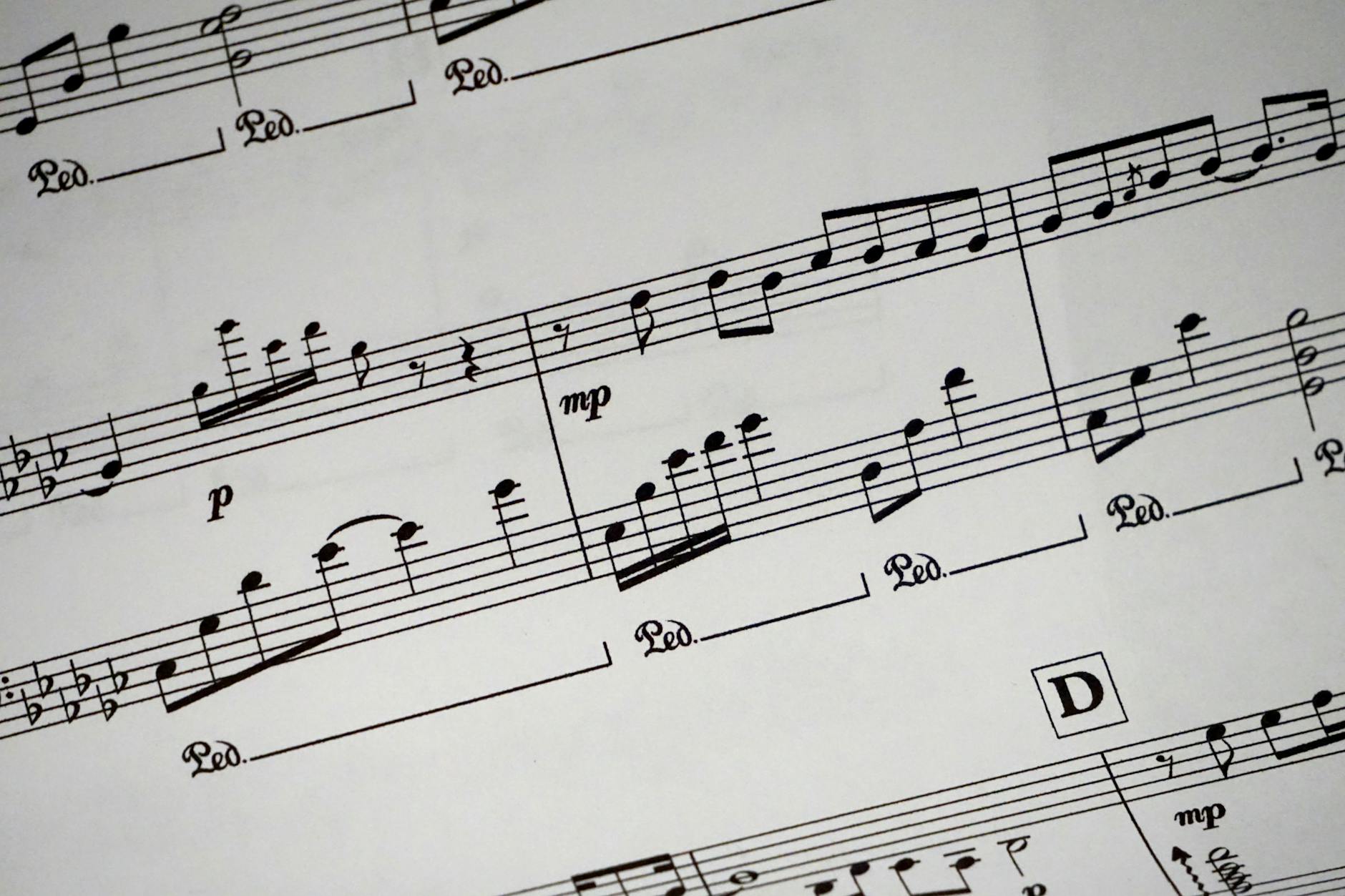 The Unifying Symphony: How Music Bridges Divides and Lifts the Human Spirit