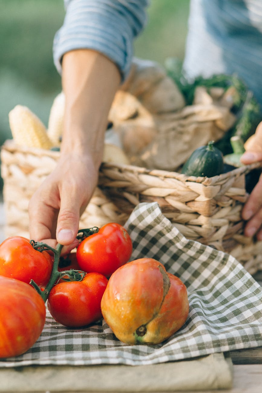 From Farm to Table: A Chef’s Blueprint for Navigating the Modern Food Landscape