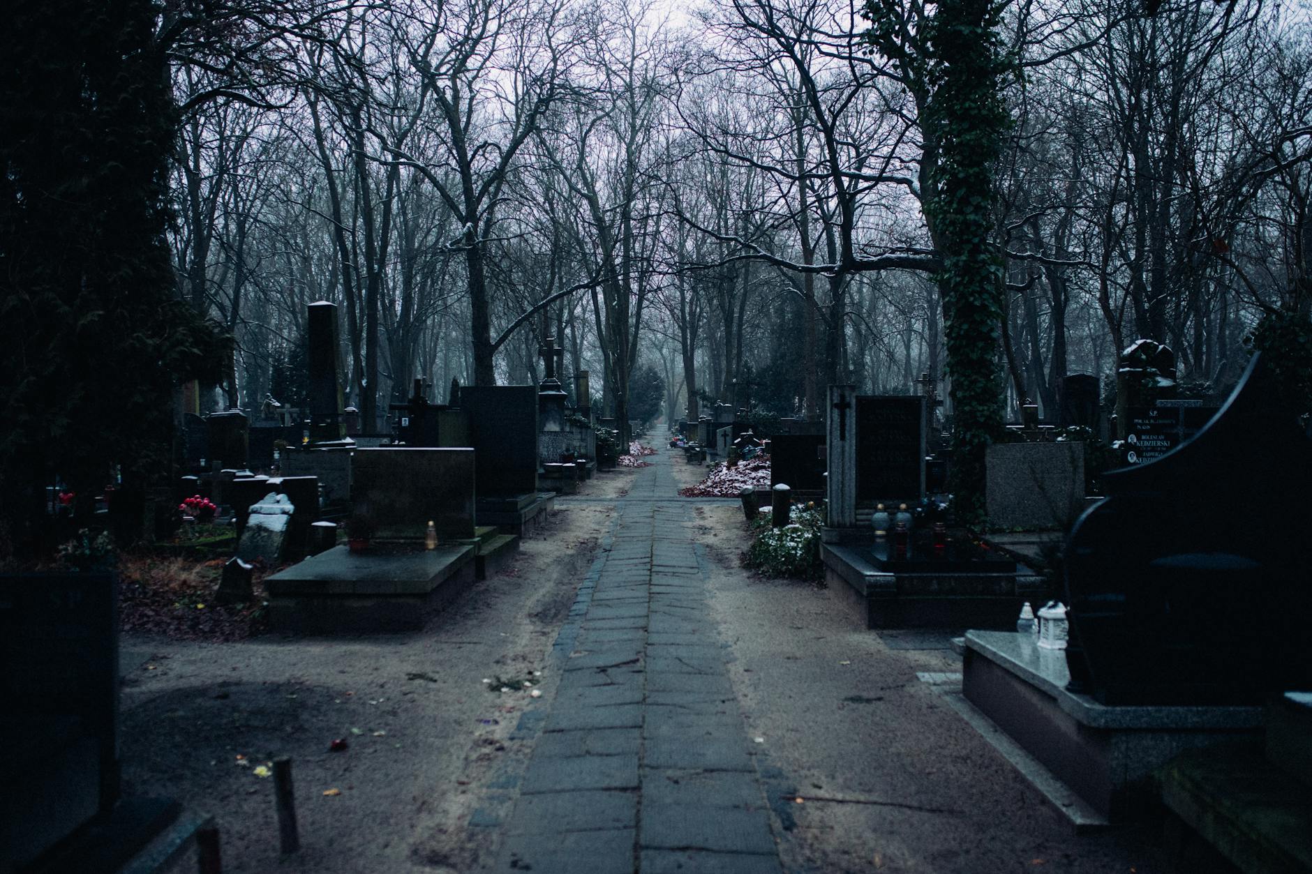Fantasy Football Gets a Grim Makeover: Yahoo and Liquid Death Unleash the ‘Survival’ League