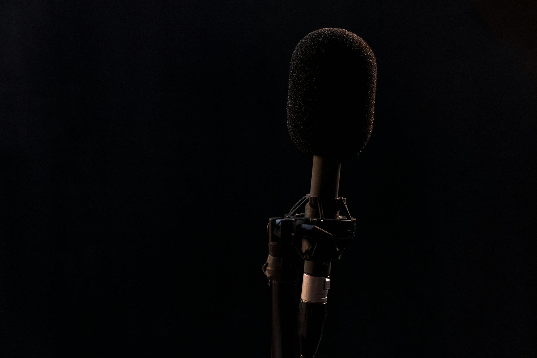 The Echoes of Silence: Can a Podcaster and a Detective Break the Chain of a Cold Case?