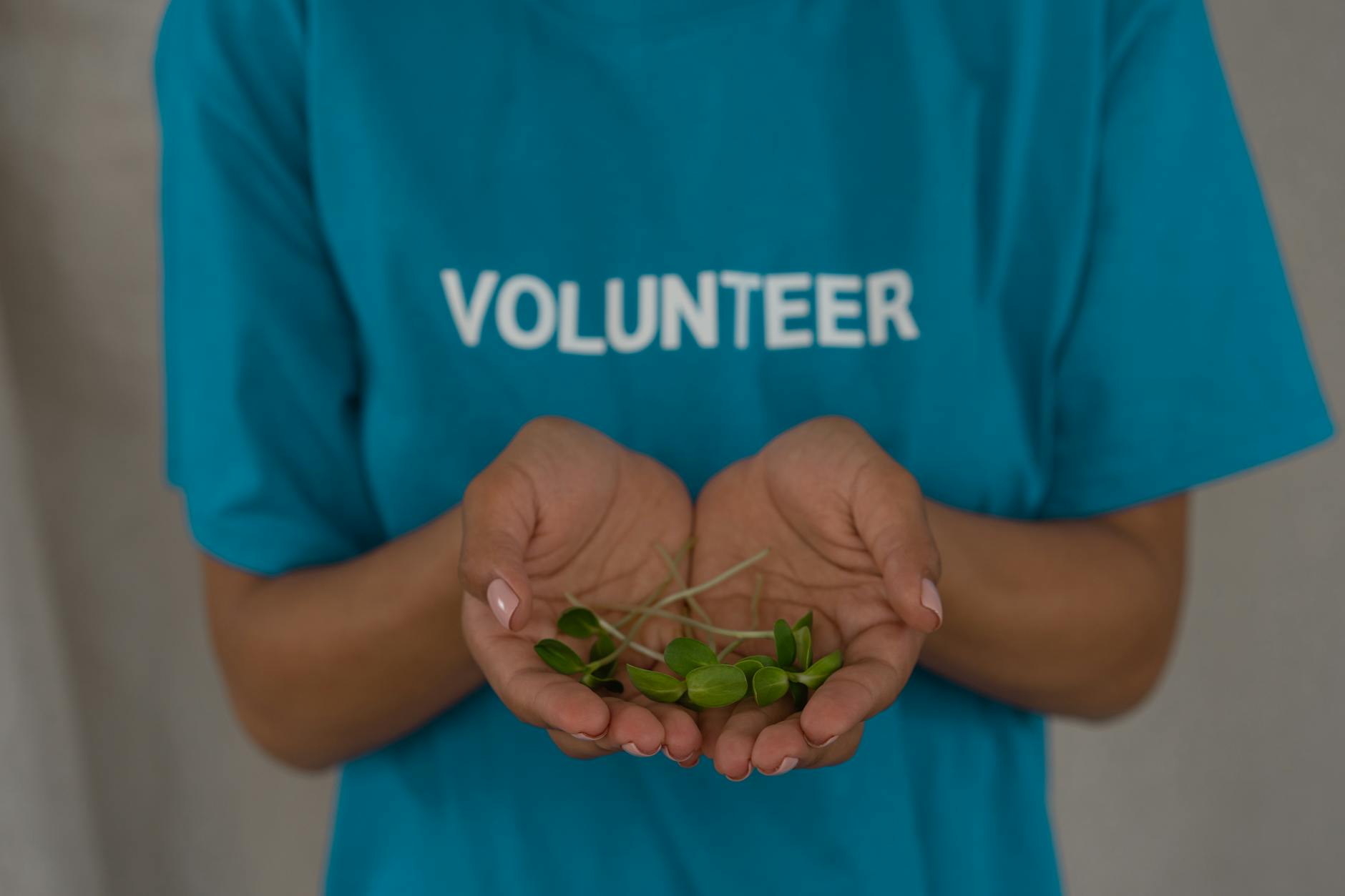 Guardians of the Blue: How Volunteering Shapes the Future of Our National Marine Sanctuaries