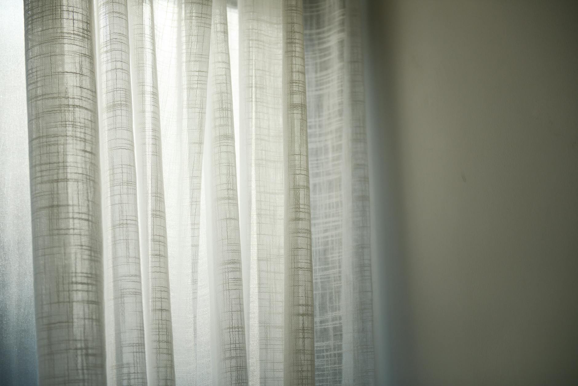 The Shadow Game: How a Potential White House Impersonation Scheme Unfolded