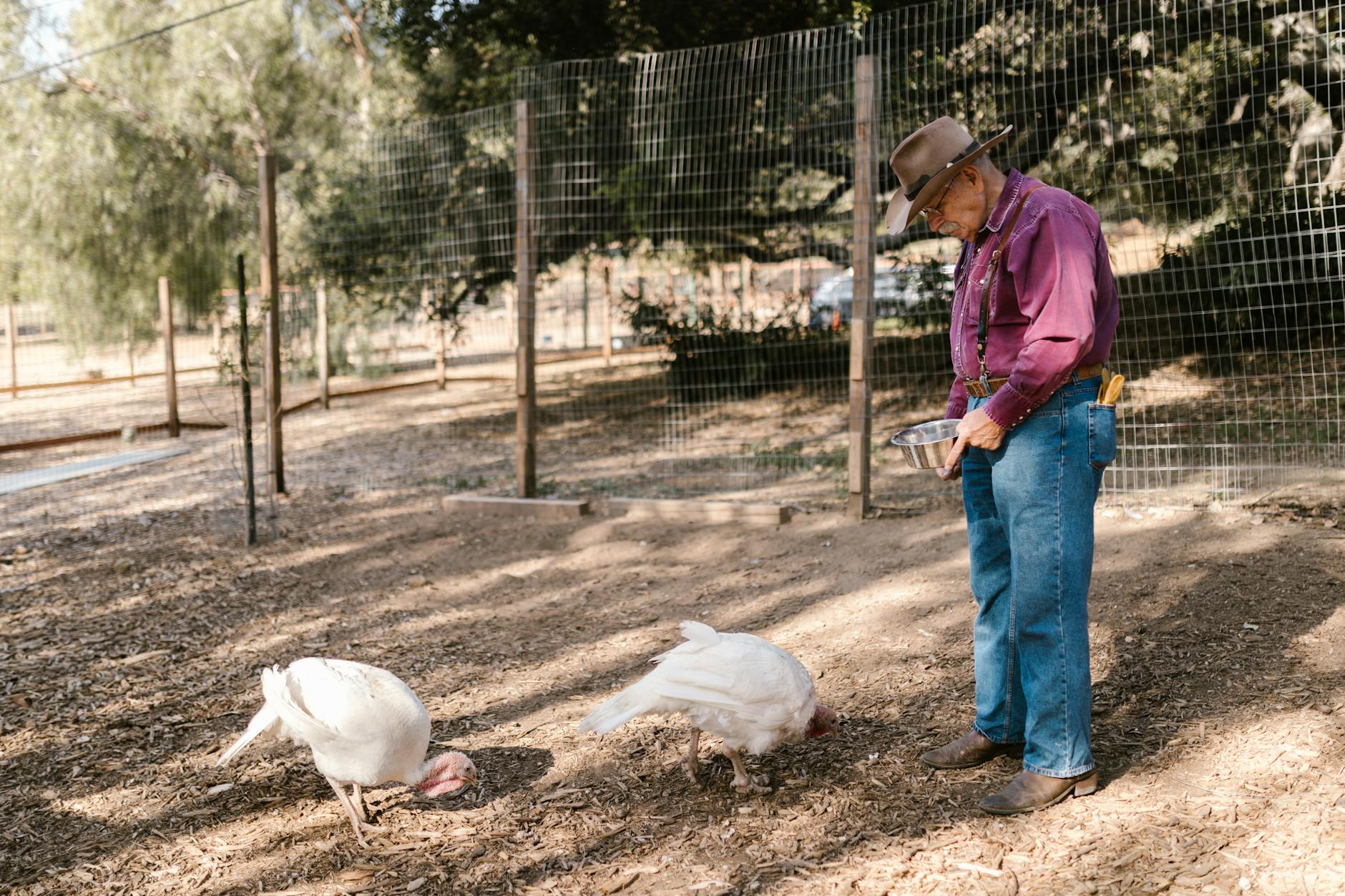 Finding Common Ground: How an Ohio Farm Community Became a Haven for Political Harmony