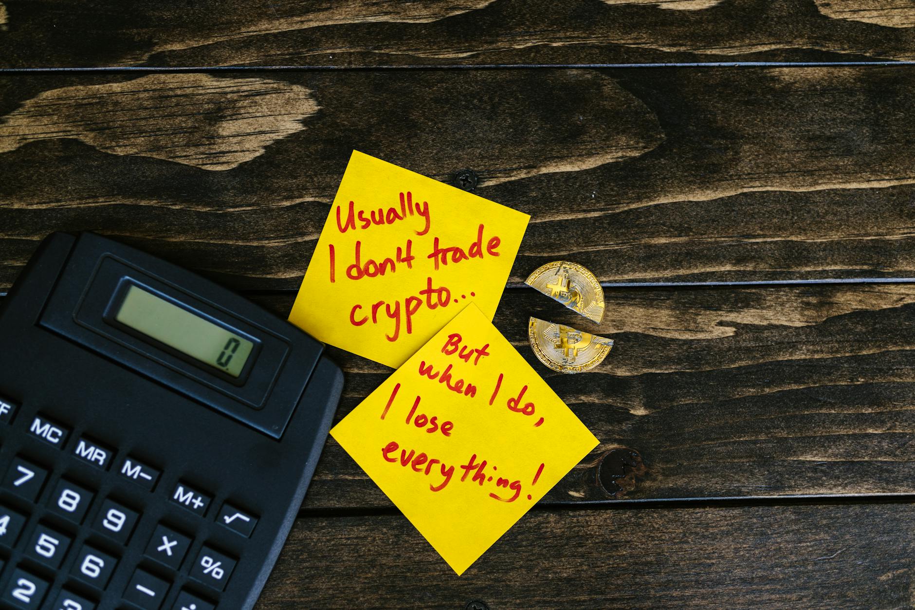 Bitcoin Finds Its Footing: Why a Long-Term Holder Truce Signals a Potential Turning Point