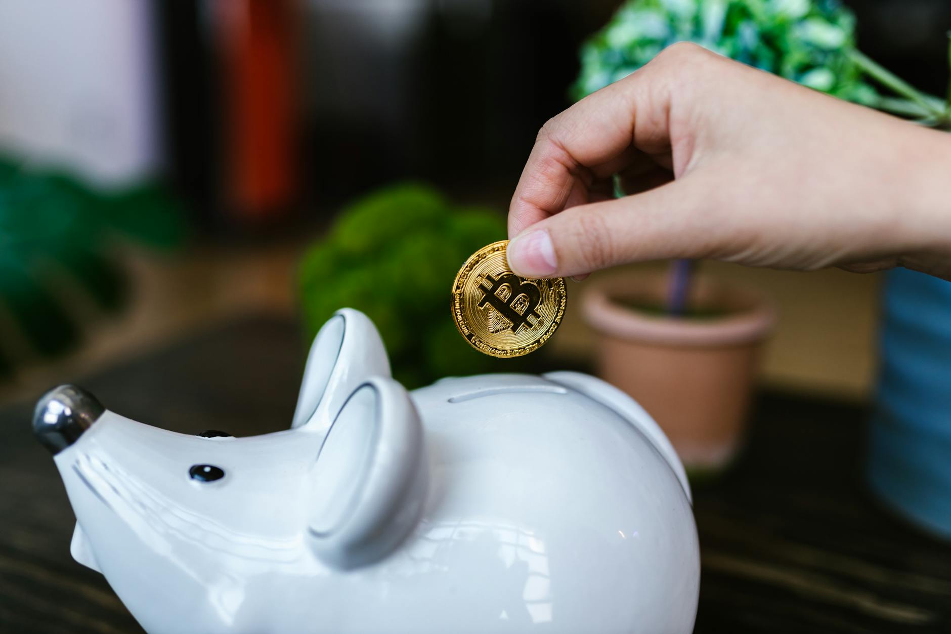 Taming the Crypto Beast: How Bitpace is Bringing Stability to a Volatile World