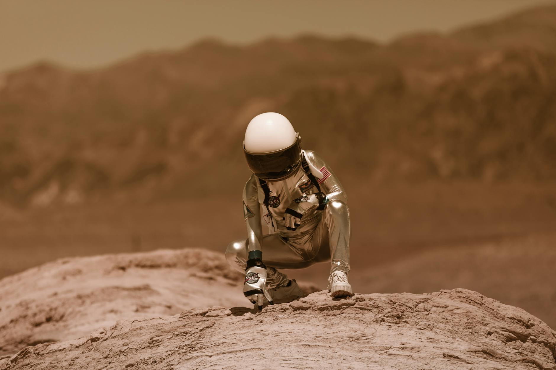 Beyond the Stars: How NASA’s Johnson Space Center Manages Its Unexpected Wild Inhabitants